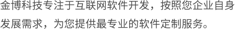 專業軟件定制服務